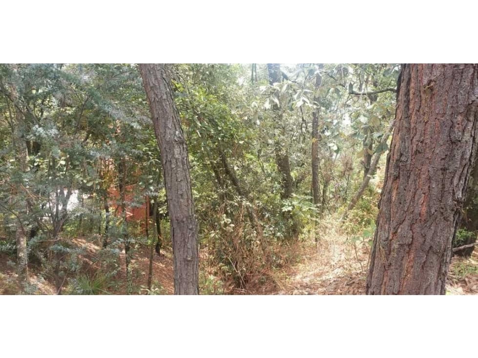 TERRENO EN VENTA EN VALLE DE BRAVO — foto 6