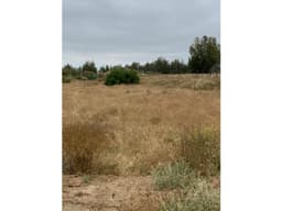Terreno en venta en Ejido Porvenir