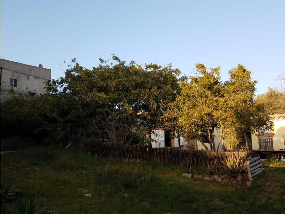 Se vende amplio terreno plano en Carlos Pacheco — foto 4