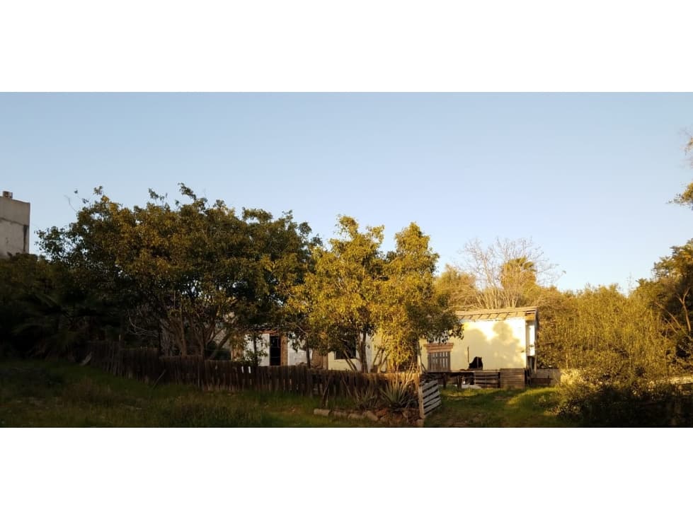 Se vende amplio terreno plano en Carlos Pacheco — foto 5