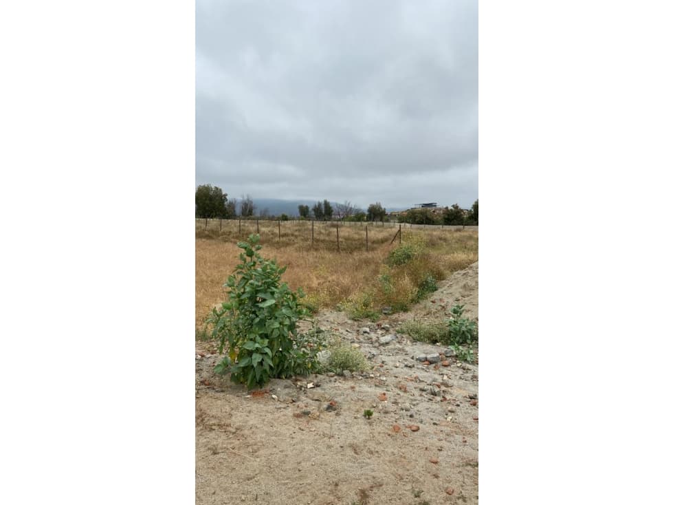 Terreno en venta en Ejido Porvenir — foto 2
