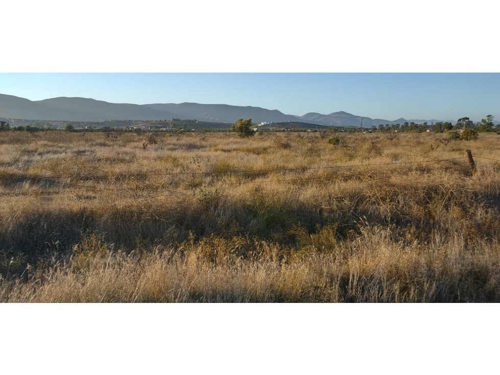 Terreno en Ejido el Porvenir, Valle de Guadalupe — foto 3