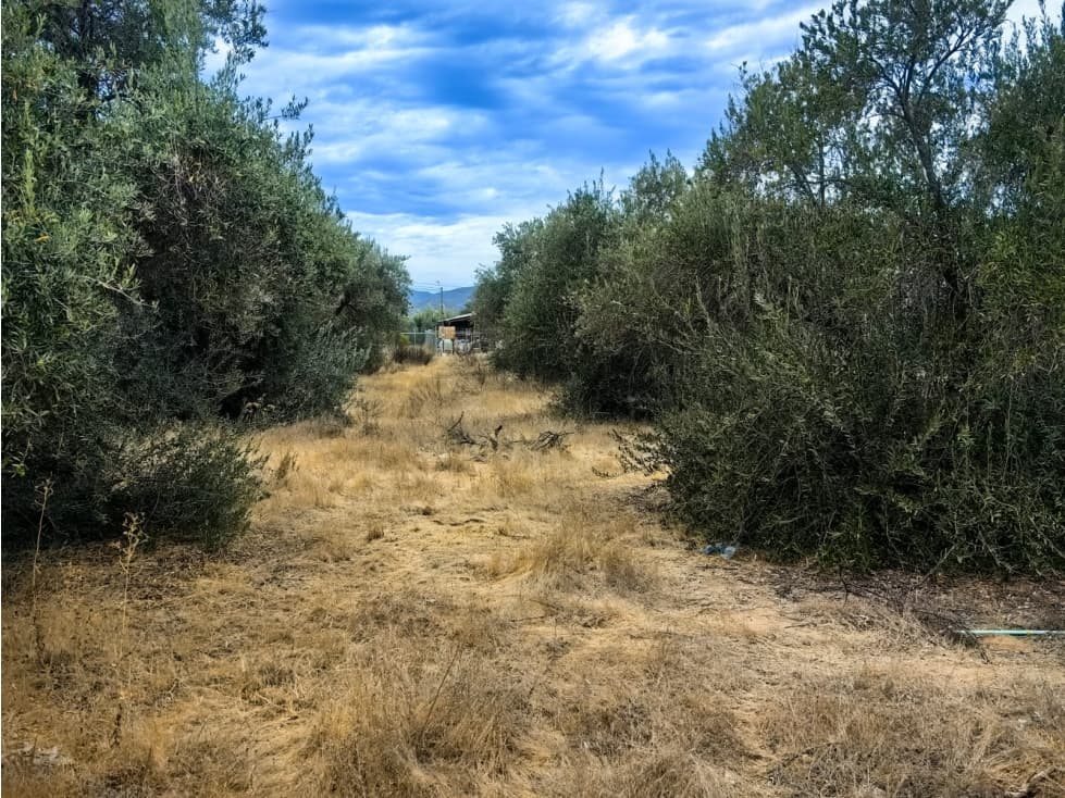 Terreno en Venta en El Porvenir, Ensenada — foto 2