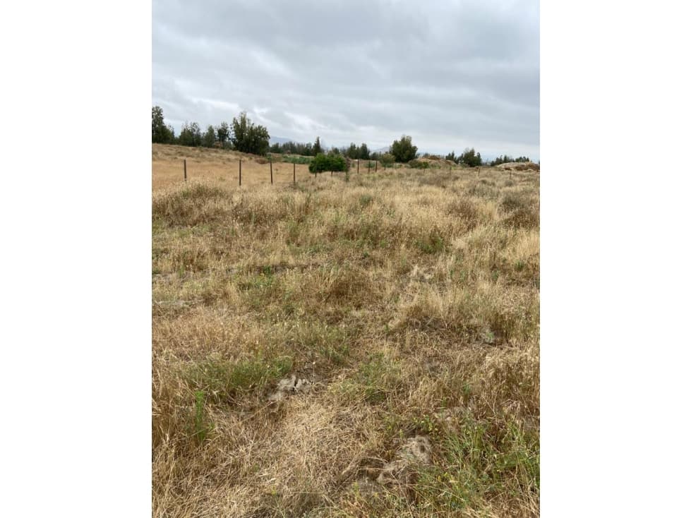 Terreno en venta en Ejido Porvenir — foto 3