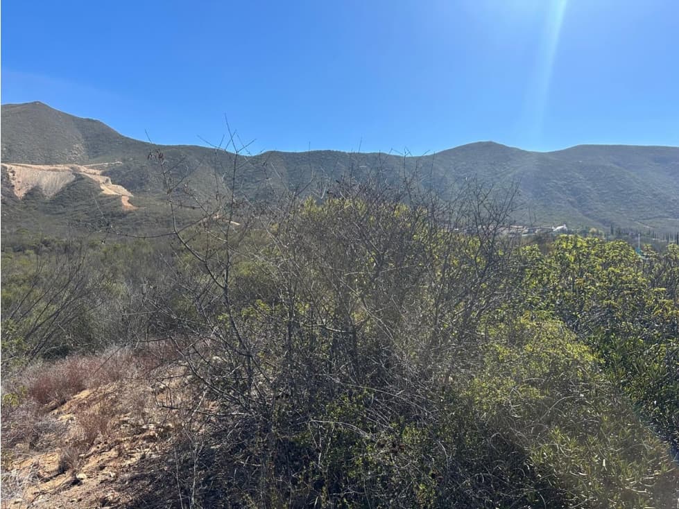 Terreno a la Venta en Rancho La Fortuna — foto 3