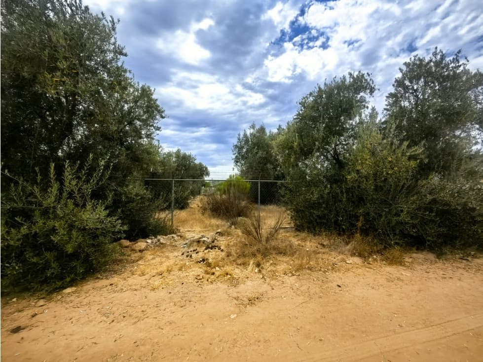 Terreno en Venta en El Porvenir, Ensenada — foto 3