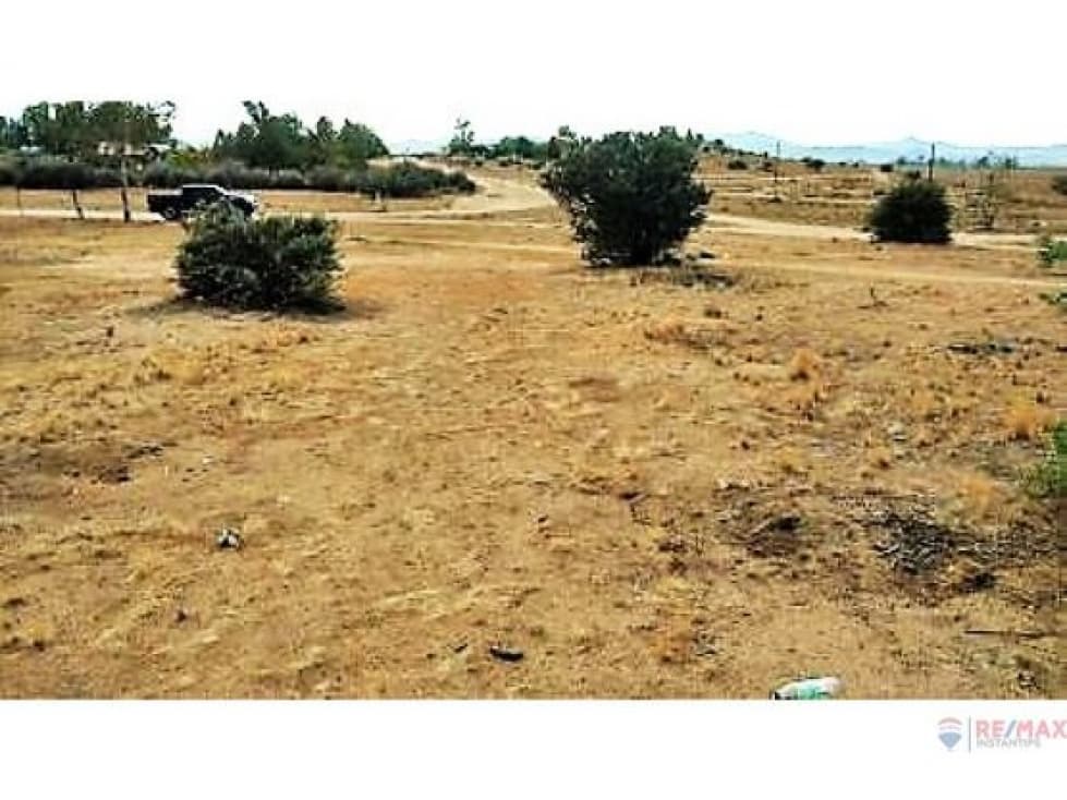Terreno en Venta en Ojos Negros — foto 4