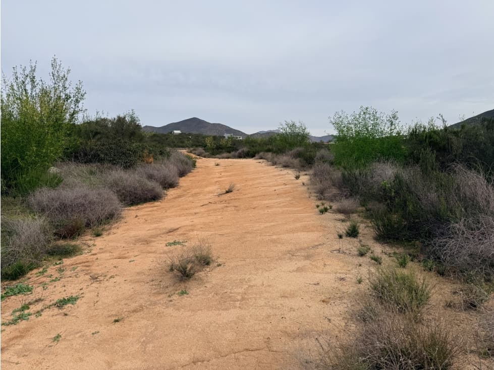 Se Venden Lotes en el Valle de Guadalupe - Fracc. A — foto 4