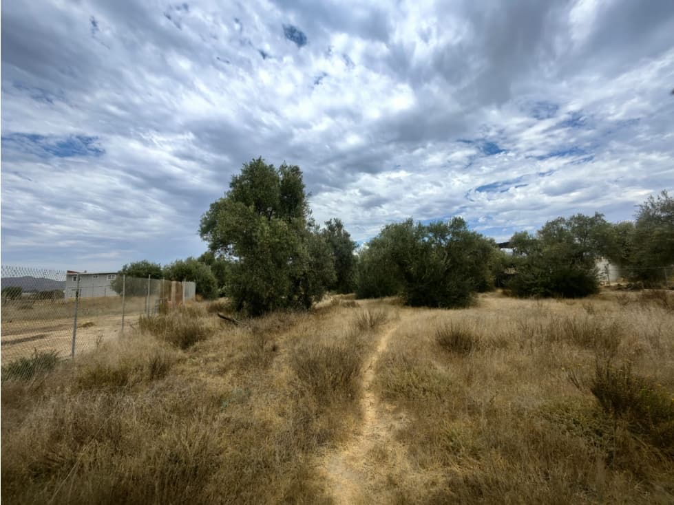 Terreno en Venta en El Porvenir, Ensenada — foto 4