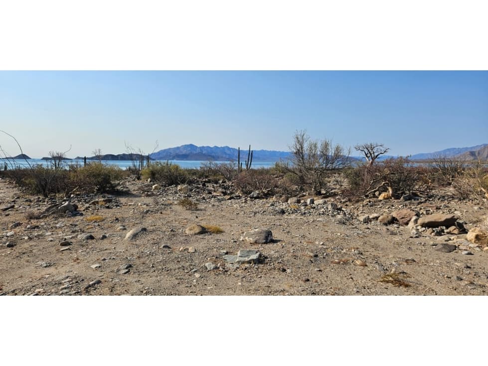 Venta de Terreno en Bahia de los Angeles — foto 6