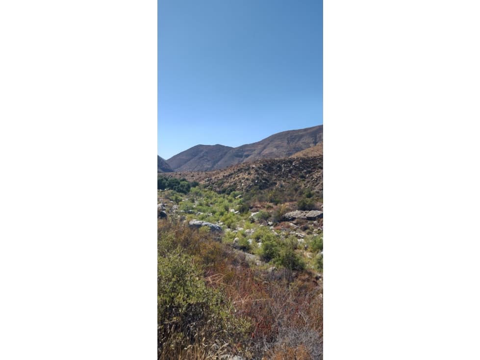 Se Vende Terreno en San Jacinto de 400 has. — foto 5