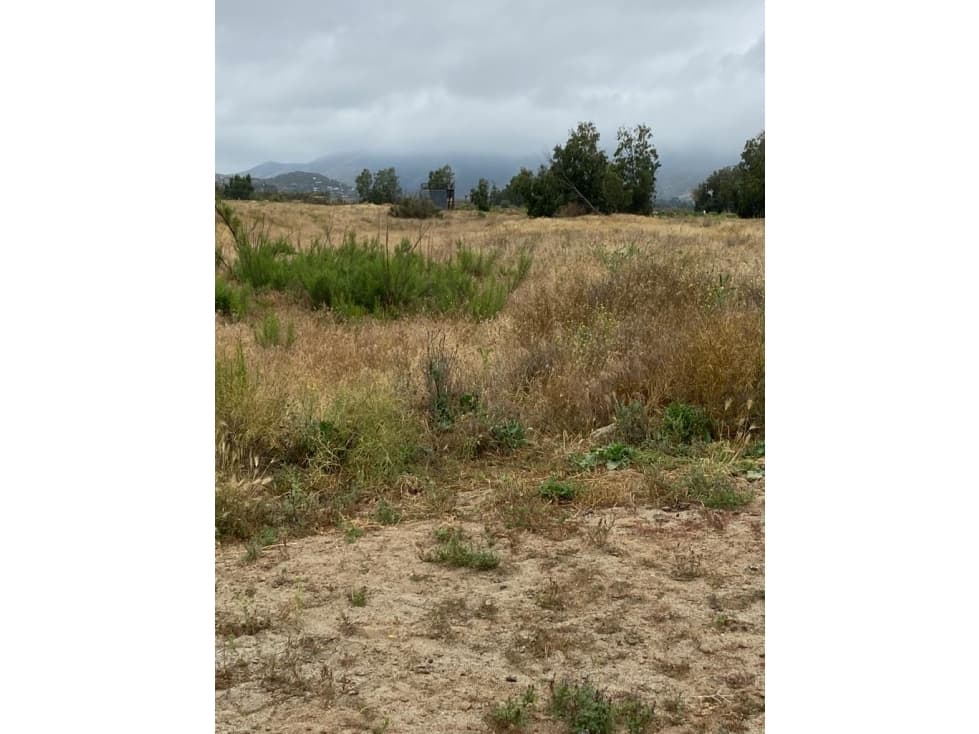 Terreno en venta en Ejido Porvenir — foto 4