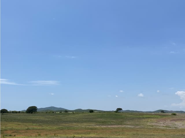 Terreno en Venta a Pie de Autopista Mzt-Cln en Dimas, Sinaloa