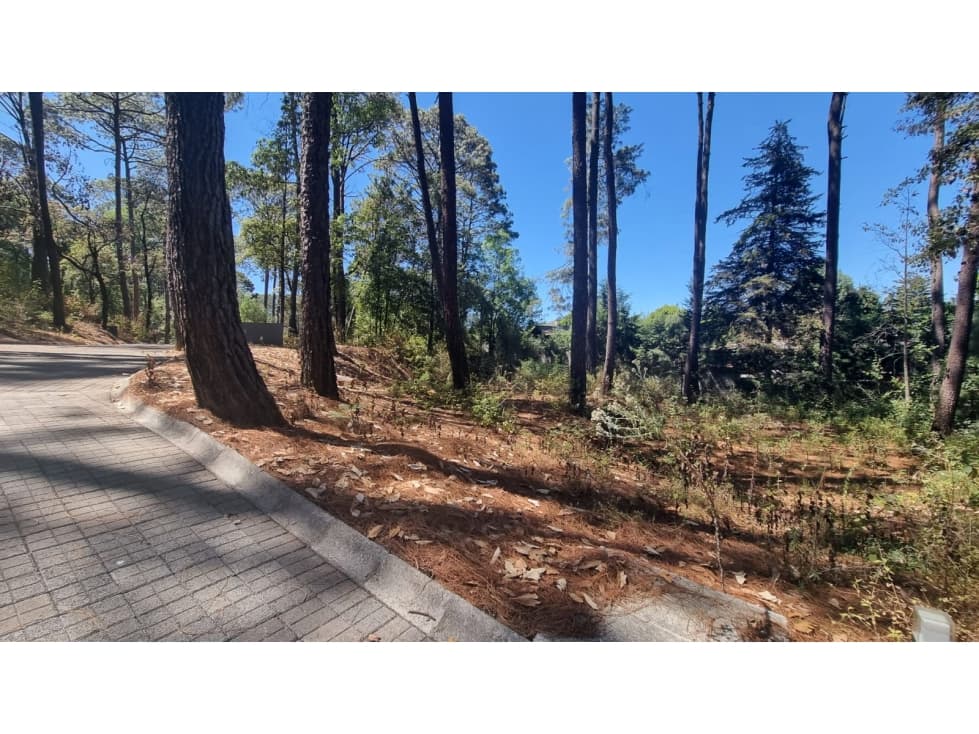 EXCELENTE TERRENO EN VENTA, AVANDARO — foto 4