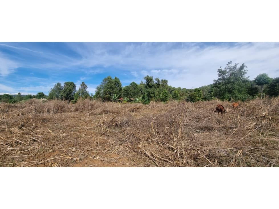 MAGNIFICO TERRENO EN ACATITLAN EN VENTA — foto 3