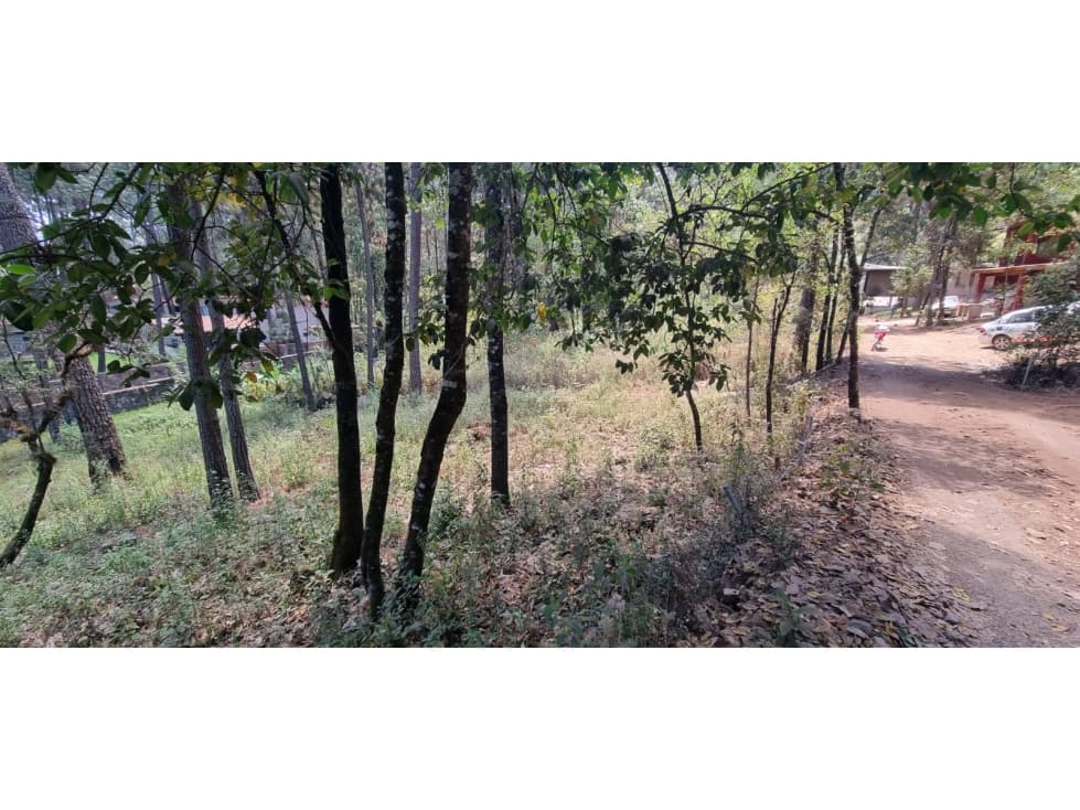 TERRENO CON ENTORNO DE BOSQUE EN VENTA. — foto 3