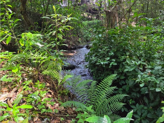 TERRENO CON RIO, EN VENTA.