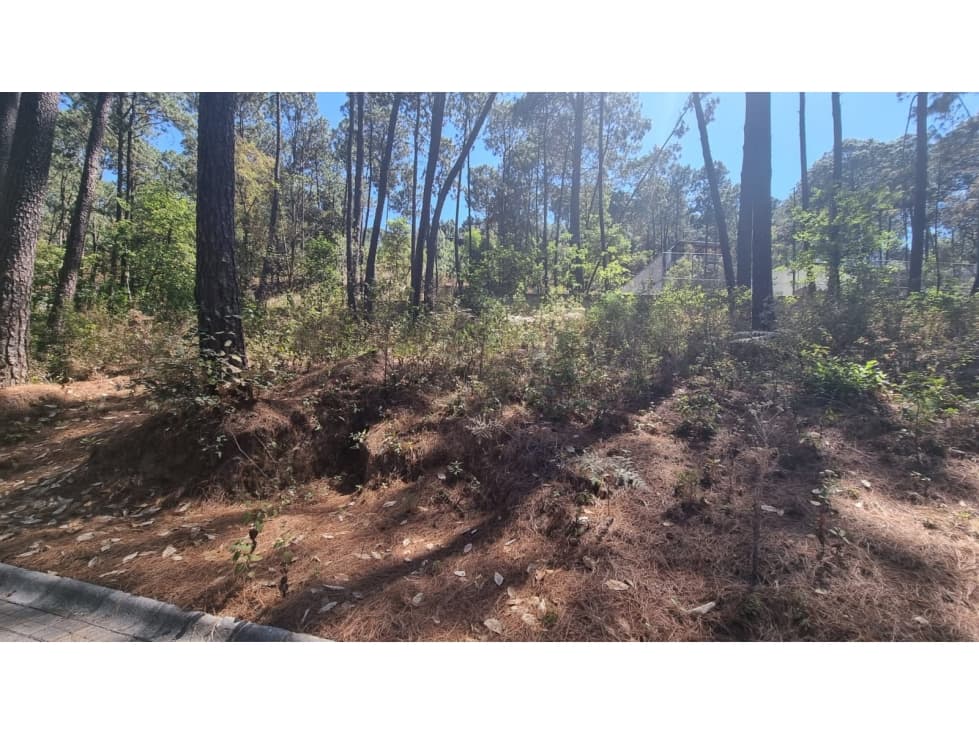 EXCELENTE TERRENO EN VENTA, AVANDARO — foto 5