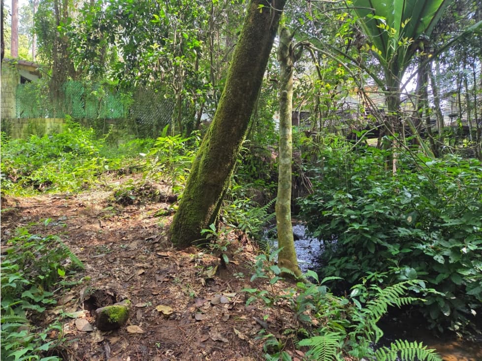 TERRENO CON RIO, EN VENTA. — foto 2