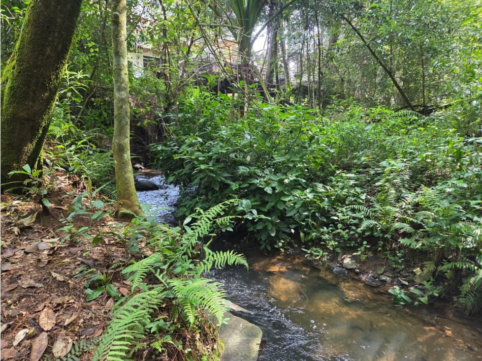 TERRENO CON RIO, EN VENTA. — foto 3