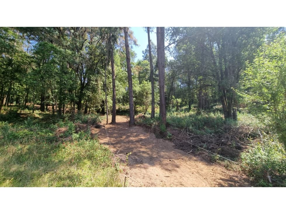 PROYECTO NUEVO EN VENTA, AMENTO — foto 4
