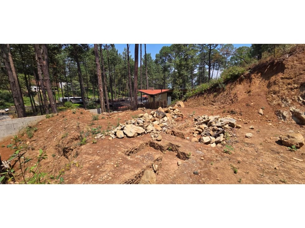 MAGNIFICO TERRENO EN VENTA, CON VISTA AL BOSQUE — foto 3
