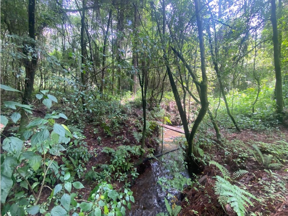 TERRENO EN VENTA CIRCUITO AVANDARO — foto 6