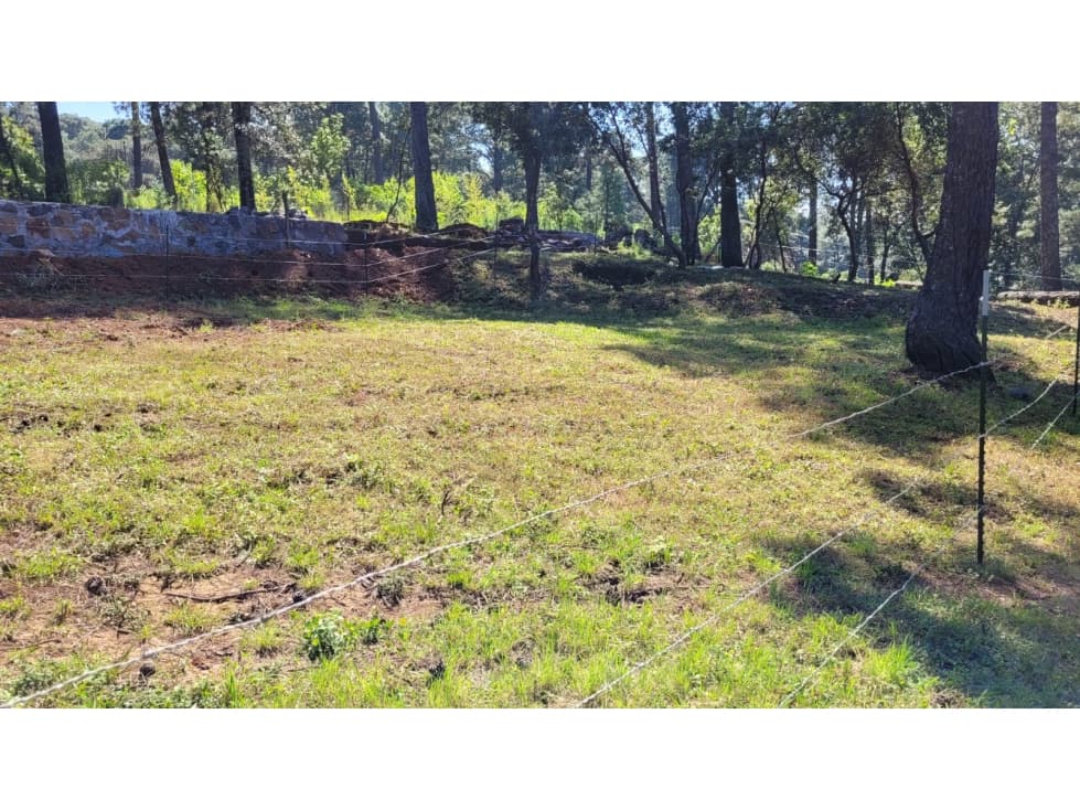 GRAN TERRENO EN VENTA EN SAN GABRIEL IXTLA — foto 3