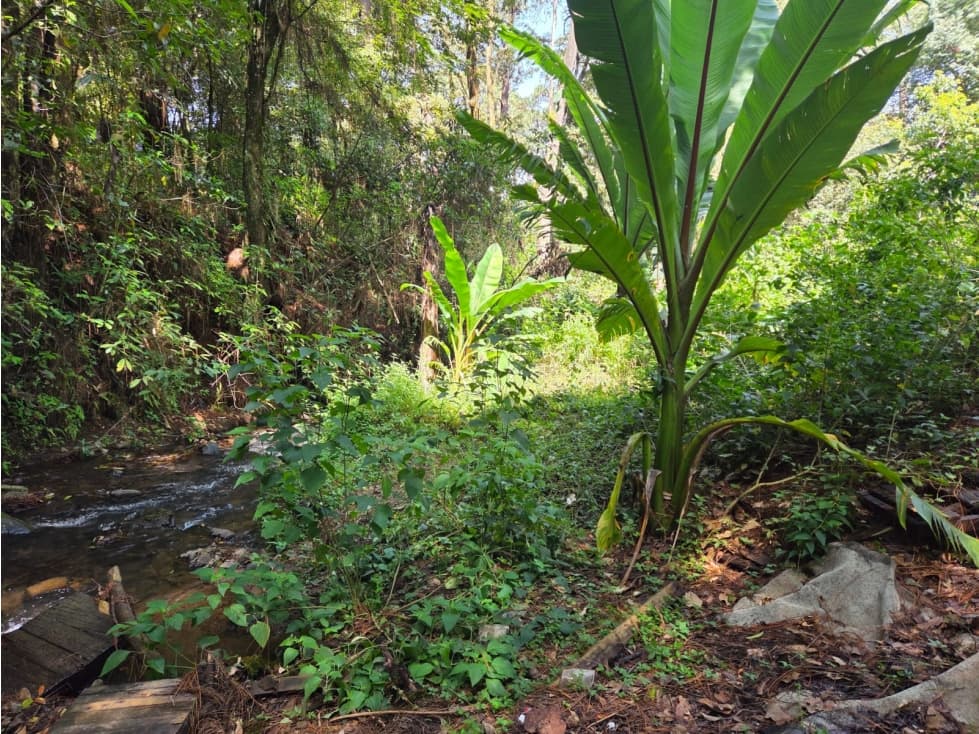 TERRENO CON RIO, EN VENTA. — foto 5