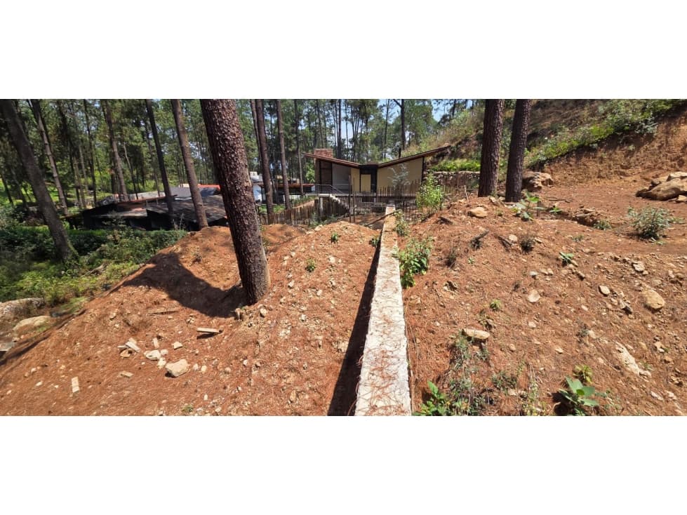 MAGNIFICO TERRENO EN VENTA, CON VISTA AL BOSQUE — foto 5