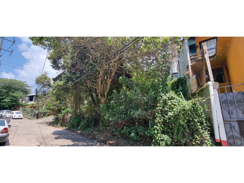 TERRENO EN VENTA, CENTRO DE VALLE. — foto 3