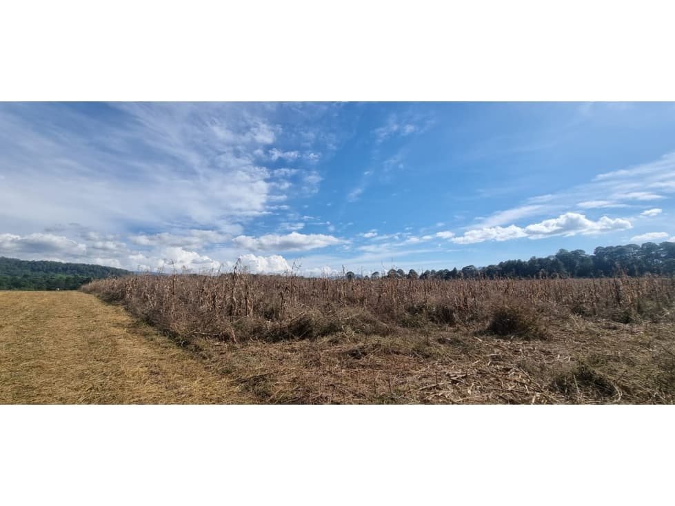 TERRENO EN VENTA, EN EL CASTELLANO — foto 3