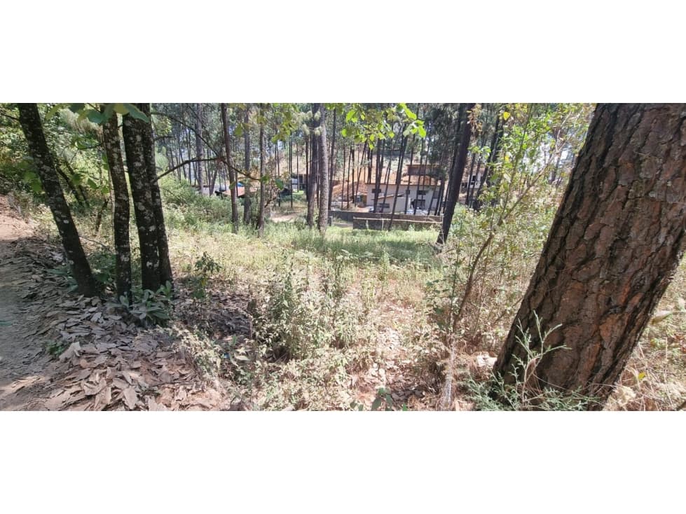 TERRENO CON ENTORNO DE BOSQUE EN VENTA. — foto 6