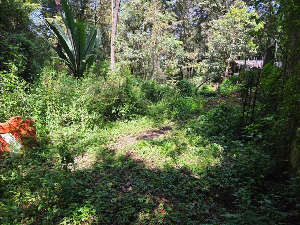 TERRENO CON RIO, EN VENTA. — foto 6