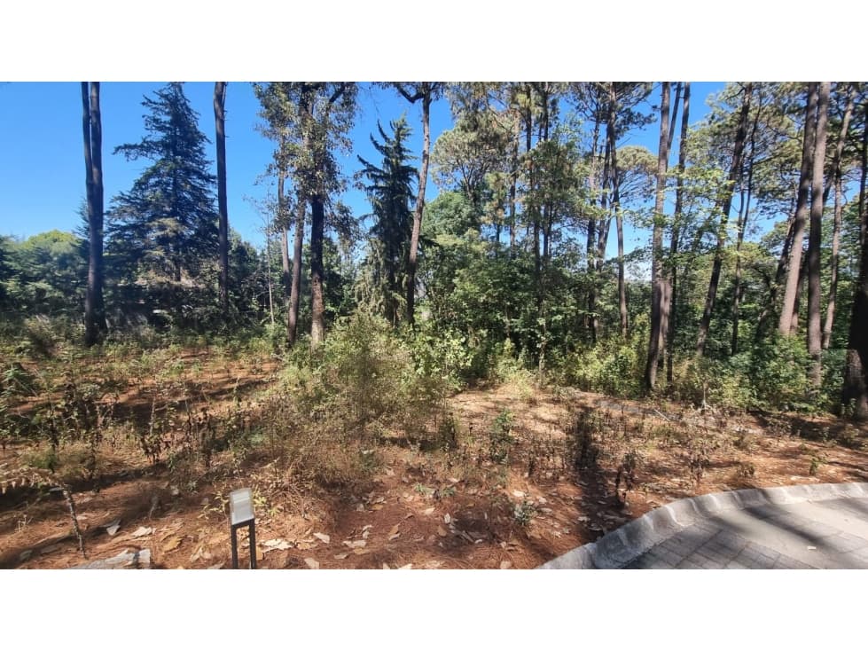 EXCELENTE TERRENO EN VENTA, AVANDARO — foto 3