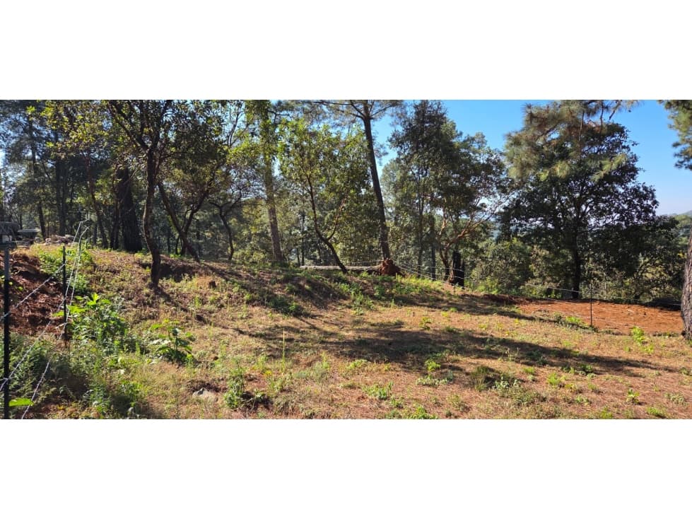 GRAN TERRENO EN VENTA EN SAN GABRIEL IXTLA — foto 6