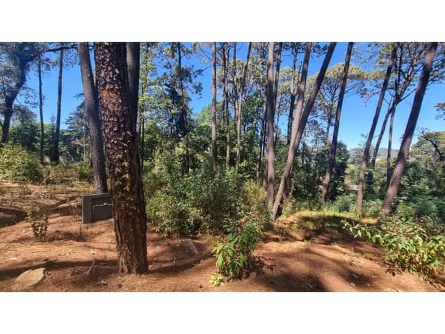 EXCELENTE TERRENO EN VENTA, AVANDARO