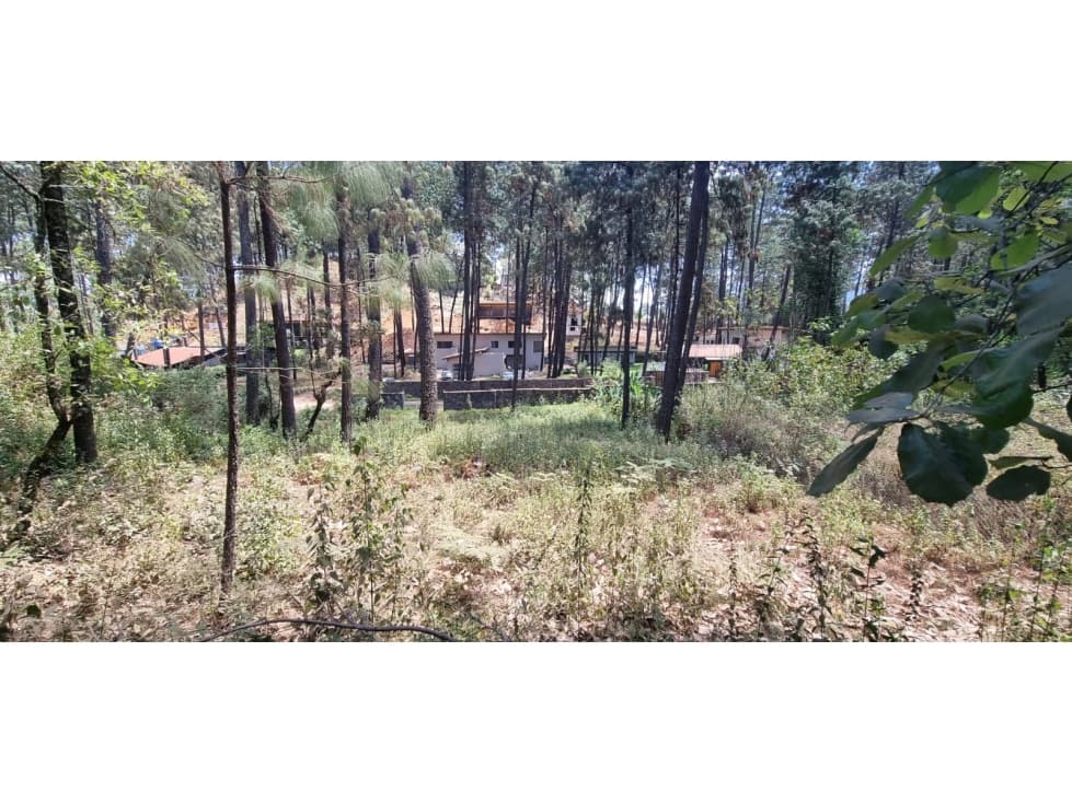 TERRENO CON ENTORNO DE BOSQUE EN VENTA. — foto 4