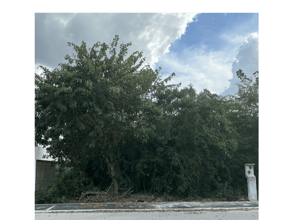 Terreno en Privada Residencial al Norte de la Ciudad — foto 4
