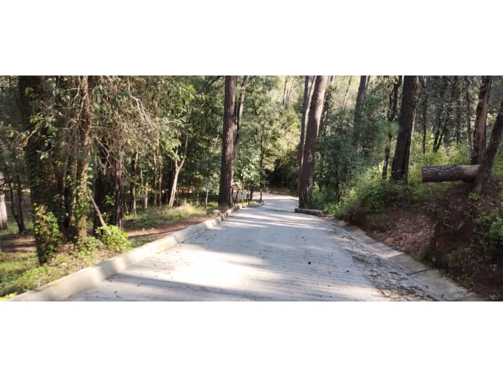 VENTA TERRENO /CERRO GORDO — foto 3