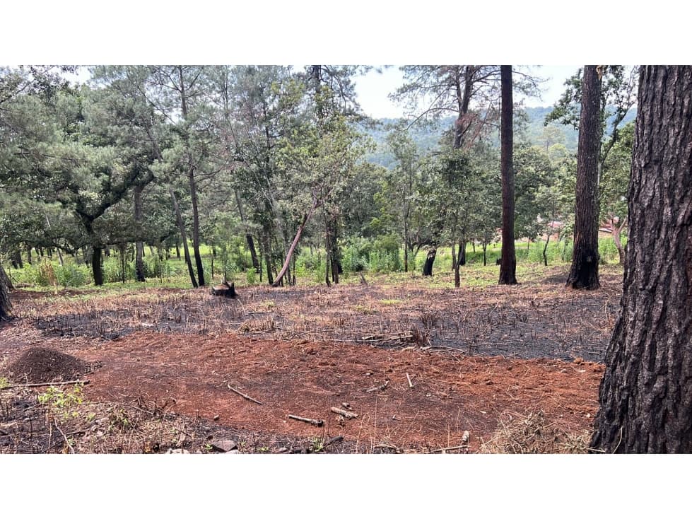 INCREIBLE TERRENO EN SAN GABRIEL IXTLA — foto 3