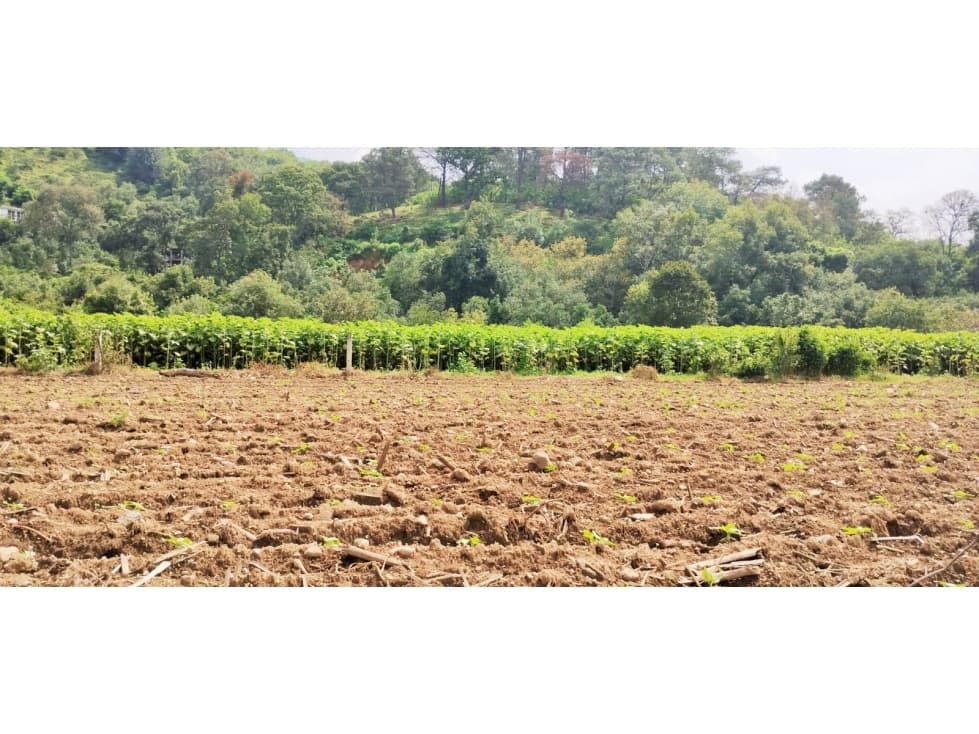 TERRENO EN PIPIOLTEPEC,VALLE DE BRAVO — foto 3