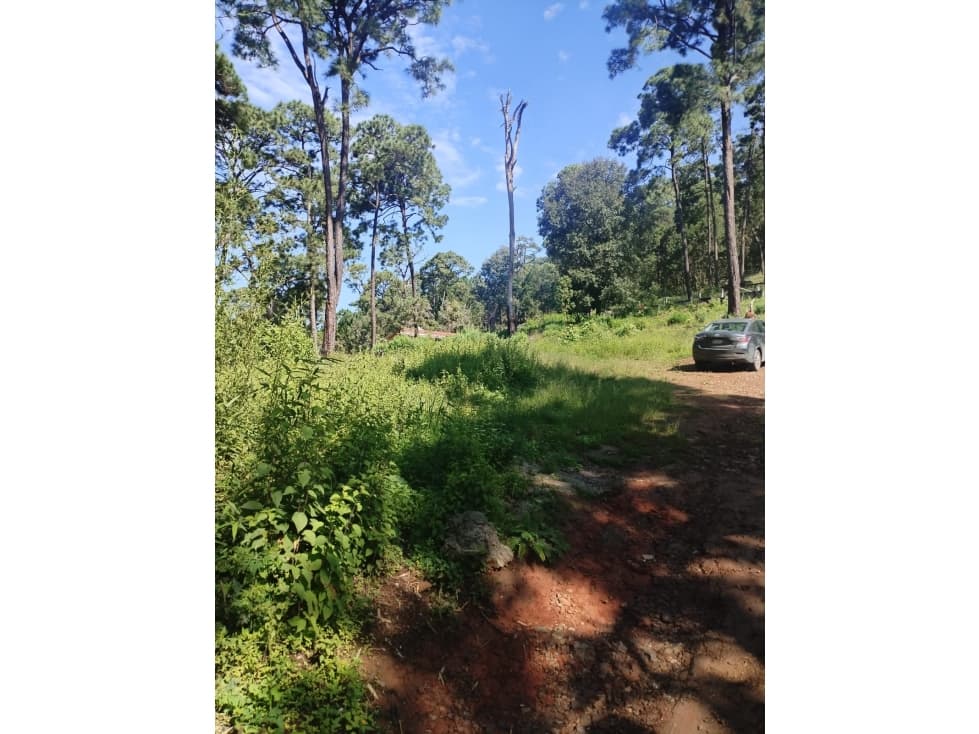 TERRENO EN VENTA | MONTE ALTO | VALLE DE BRAVO — foto 2