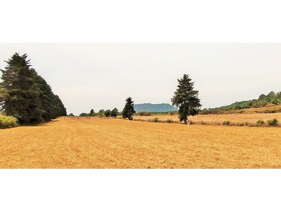 TERRENO EN VENTA / EL MANZANO /CERRO GORDO — foto 2