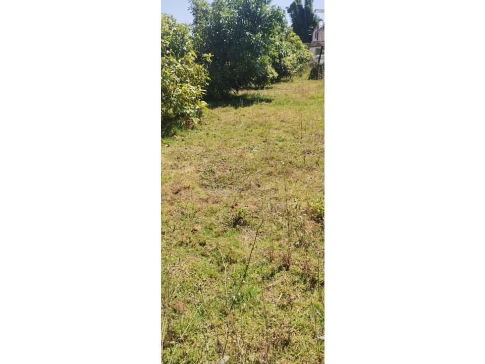TERENO EN VENTA /ACATITLAN / VALLE DE BRAVO — foto 3