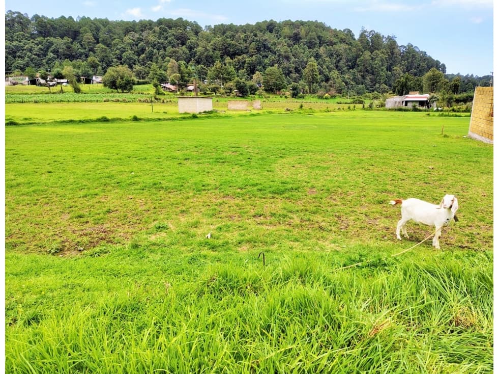 TERRENO EN VENTA /SAUCOS /VALLE DE BRAVO — foto 2
