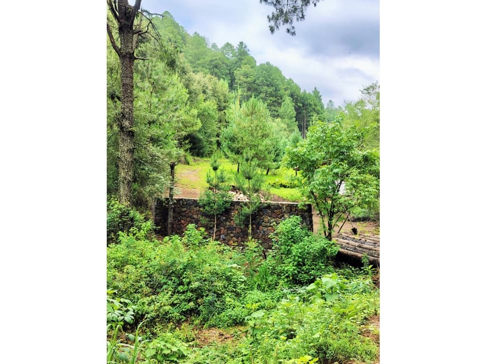 VENTA /TERRENO /SAUCOS /VALLE DE BRAVO — foto 5