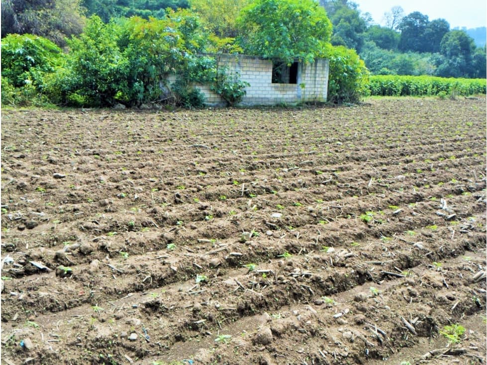 TERRENO EN PIPIOLTEPEC,VALLE DE BRAVO — foto 2