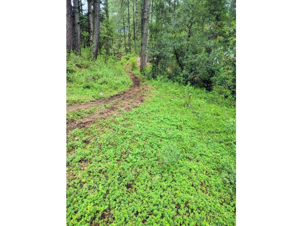 VENTA /TERRENO /SAUCOS /VALLE DE BRAVO — foto 1