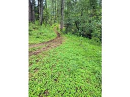VENTA /TERRENO /SAUCOS /VALLE DE BRAVO
